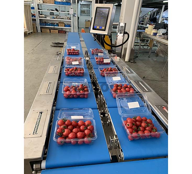 MHW-P8 Multi Stage Weigher Linear