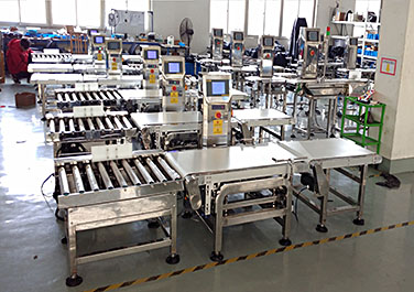 Rehoo Check Weigher Machine