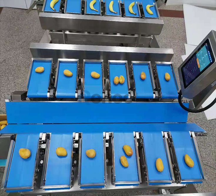 V Type Semi-Automatic Combinational Weighing Scale