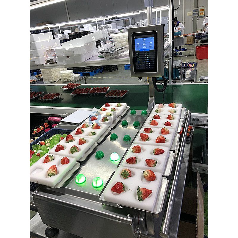 Manual Semi-Automatic Combinational Weighing Scale