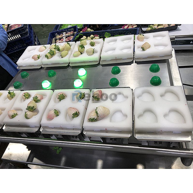 Manual Semi-Automatic Combinational Weighing Scale